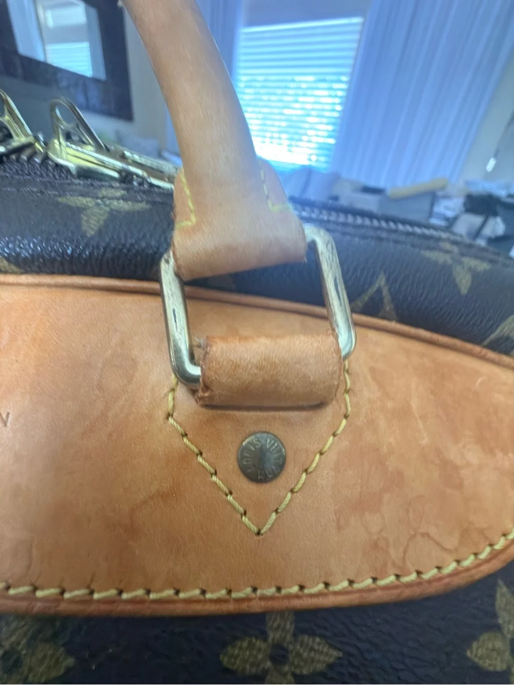 Louis Vuitton Brown Monogram Evasion